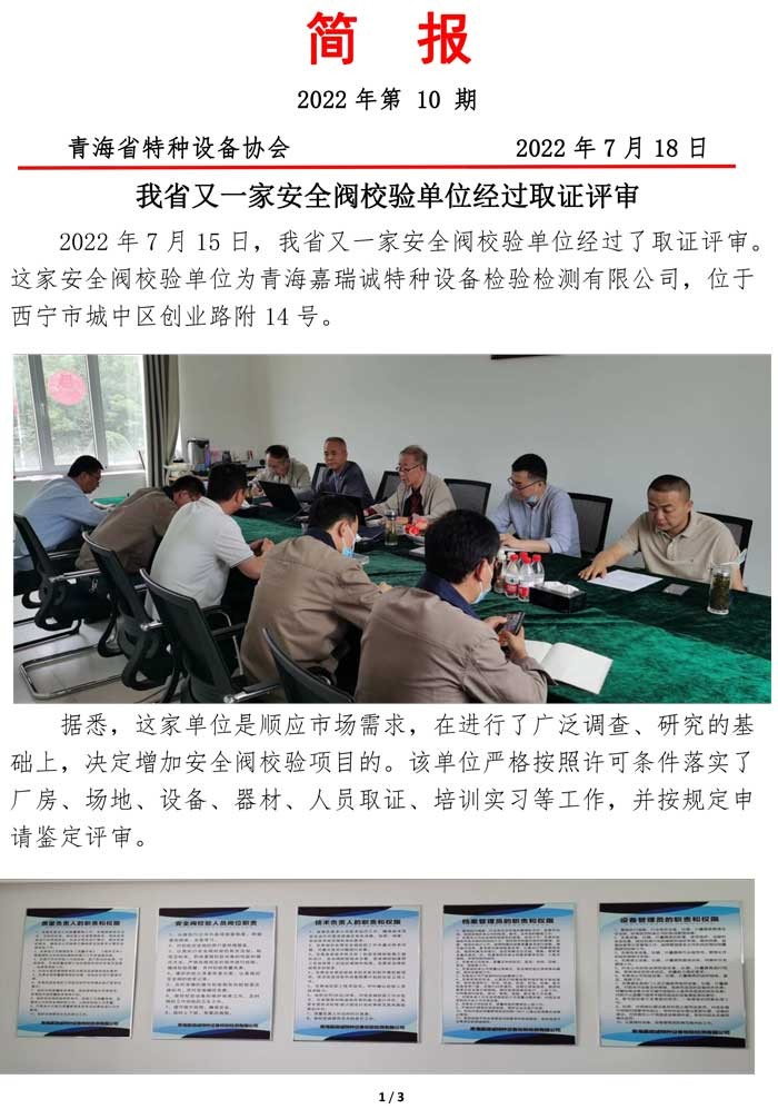 2022年第10期简报（安全阀评审）-1.jpg